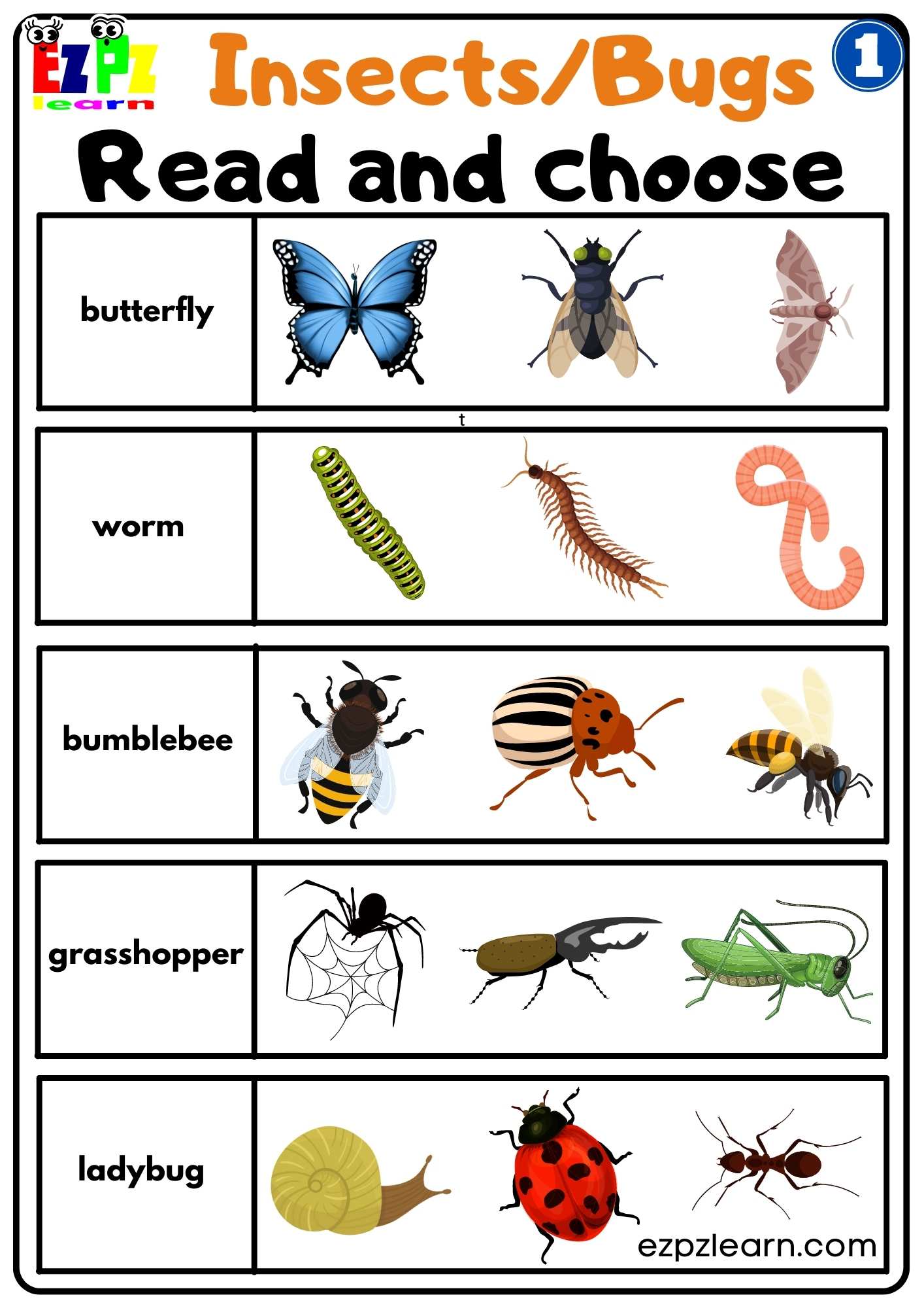 Insects Bugs - Ezpzlearn.com